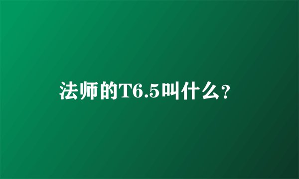 法师的T6.5叫什么？