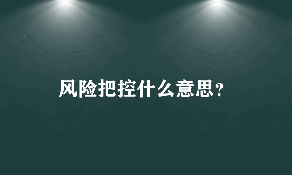 风险把控什么意思？