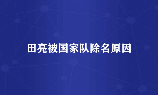 田亮被国家队除名原因