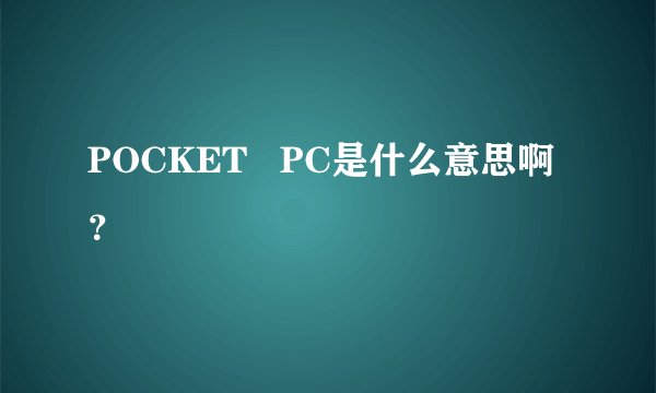 POCKET   PC是什么意思啊？