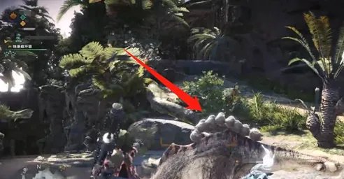 《怪物猎人世界》幻鸟的捕获方法