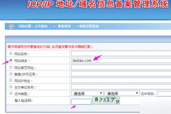 工信部域名备案查询