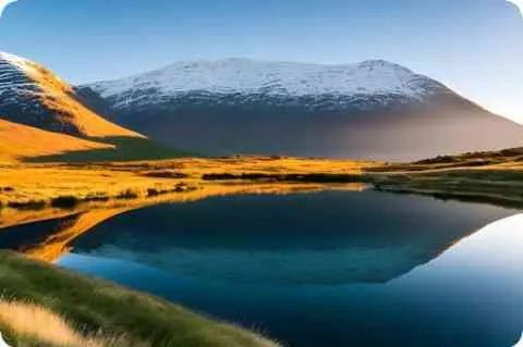 恋爱大赢家mp4下载