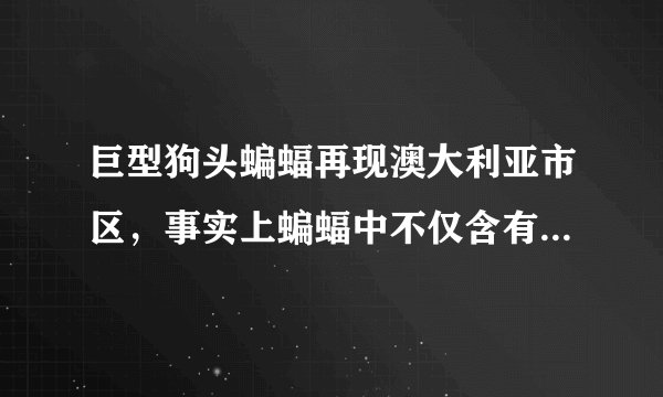 巨型狗头蝙蝠再现澳大利亚市区，事实上蝙蝠中不仅含有新型冠状病毒