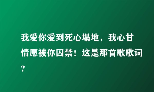 我爱你爱到死心塌地，我心甘情愿被你囚禁！这是那首歌歌词？