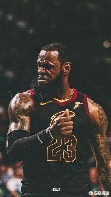 詹姆斯加盟热火前成绩