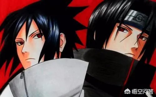 鼬的实力是什么水平