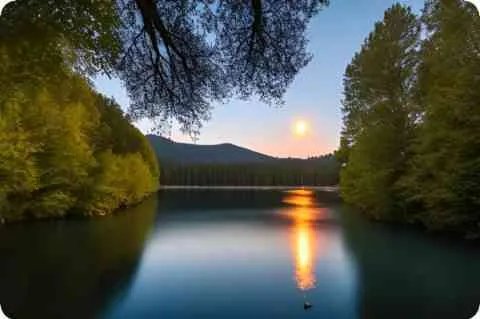 请问,有谁能告诉我一个mimip2p论坛的用户名和密码？,有谁能告诉我一个mimip2p论坛的用户名和密码？