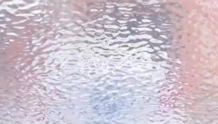 车窗结冰司机用铁头功一头撞破 冬季车窗结冰怎么办