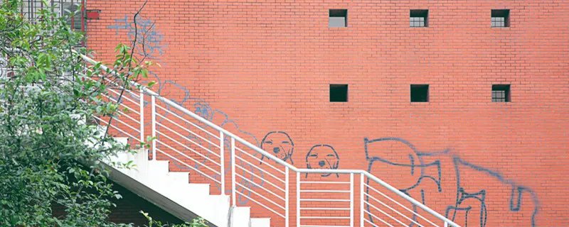 全国二卷有哪些省