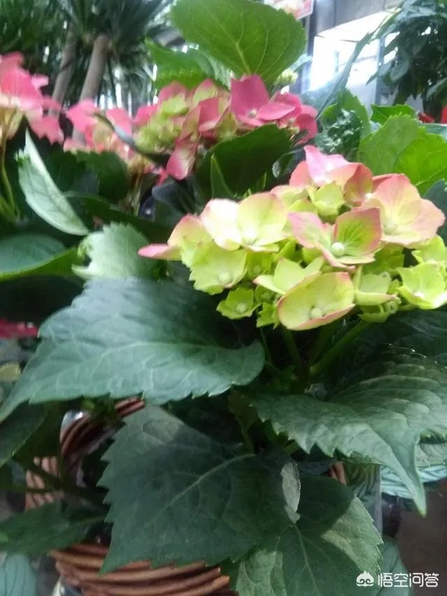 “好看的皮囊千篇一律，有趣的灵魂百里挑一”，大家怎么看？