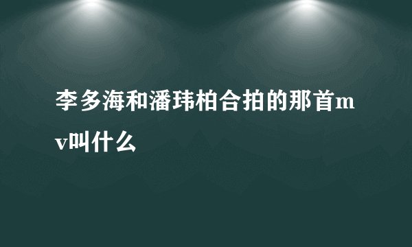 李多海和潘玮柏合拍的那首mv叫什么