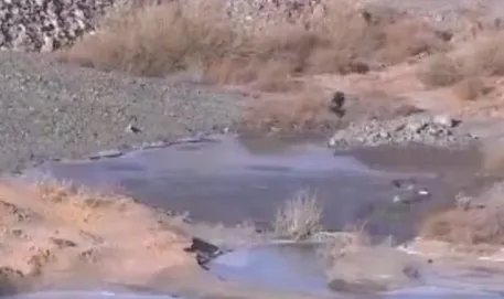 腾格里污染举报人李根山被刑拘，里面有哪些隐情？