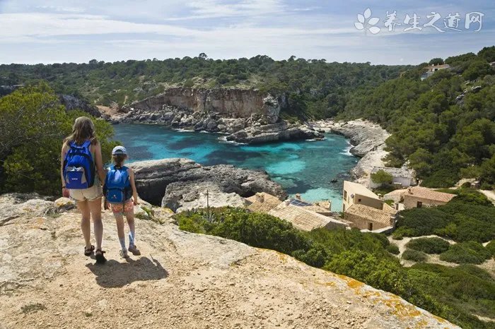 甘草山楂茶的功效和作用