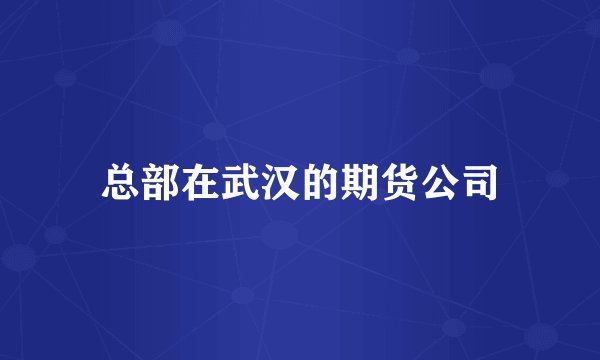总部在武汉的期货公司