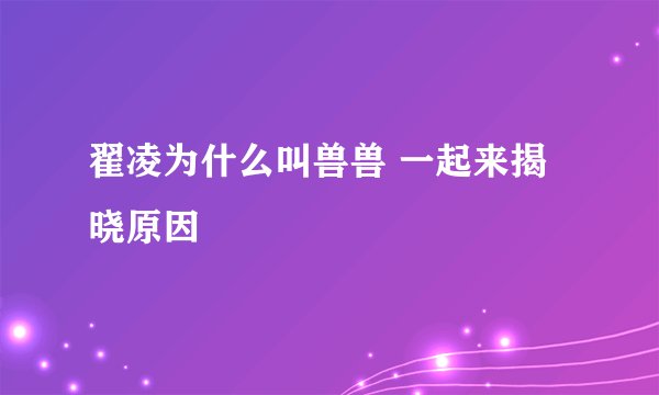 翟凌为什么叫兽兽 一起来揭晓原因