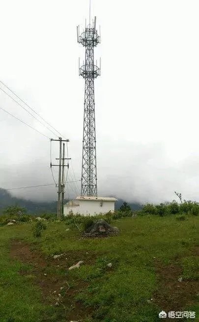 手机的4g网络不稳定，移动和联通都是这个情况，应该怎么办？