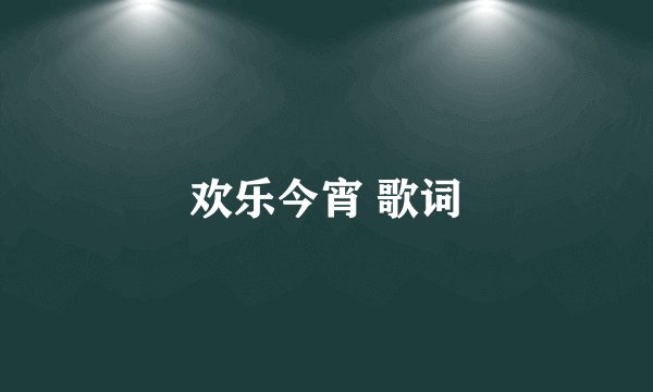欢乐今宵 歌词