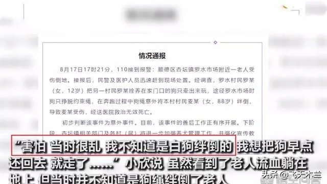 牵狗少女回应“逃跑”:不知道是狗绳绊倒了老人,她的话可信吗?