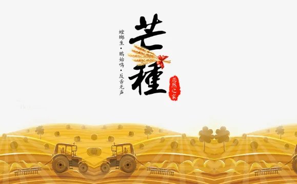 2020年芒种时间:2020芒种是几月几号