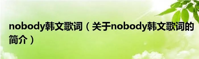 nobody韩文歌词（关于nobody韩文歌词的简介）