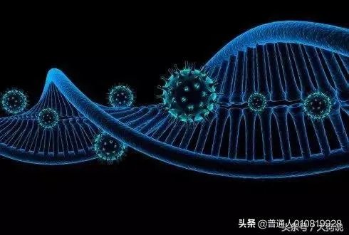 中国大陆男性比女性多3049万,这意味着什么?