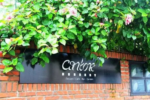 秋风萧瑟幽花凋零夏若雪小说 凄美夏若雪苏衍无删减阅读