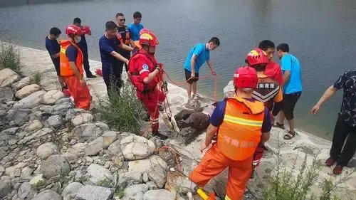 悲剧!陕西溺水事故致5死,含12岁男孩,这样的悲剧能否避免?