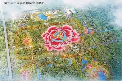 第十届中国花卉博览会的会花是什么?