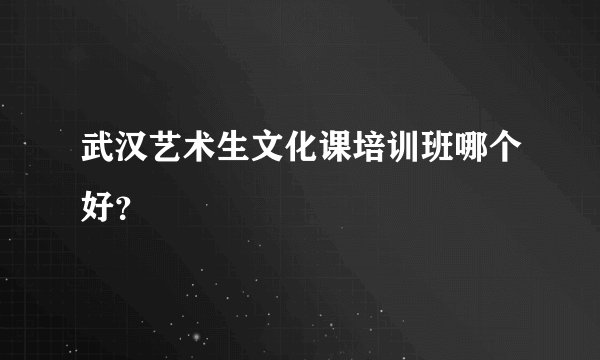 武汉艺术生文化课培训班哪个好？
