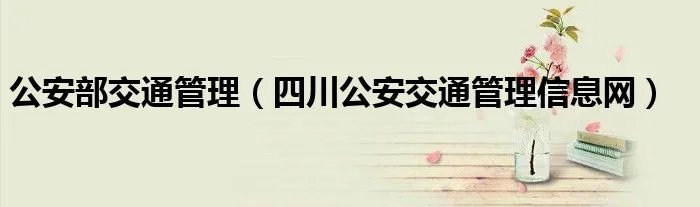 公安部交通管理(四川公安交通管理信息网)