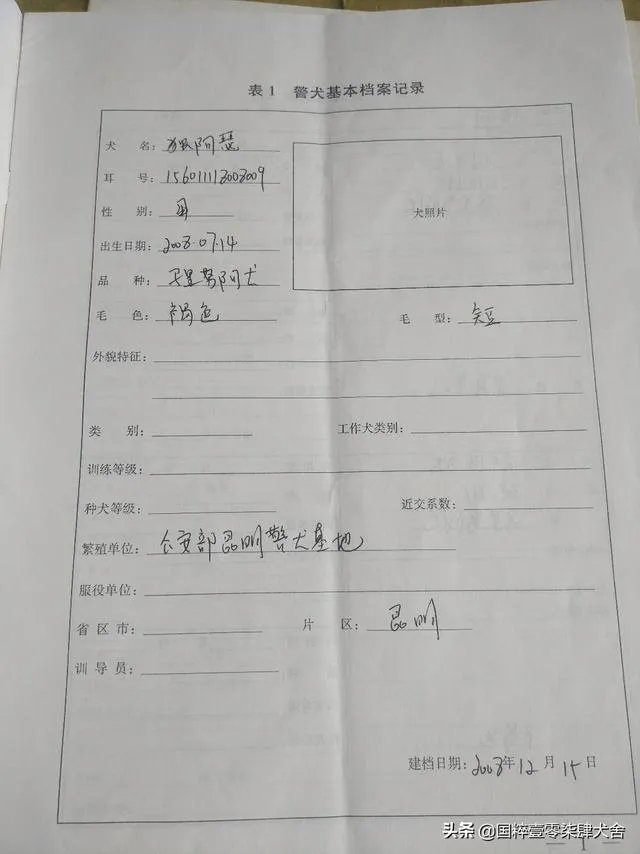 警犬跑入一个派出所,派出所的警察能认出吗?