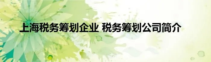 上海税务筹划企业 税务筹划公司简介