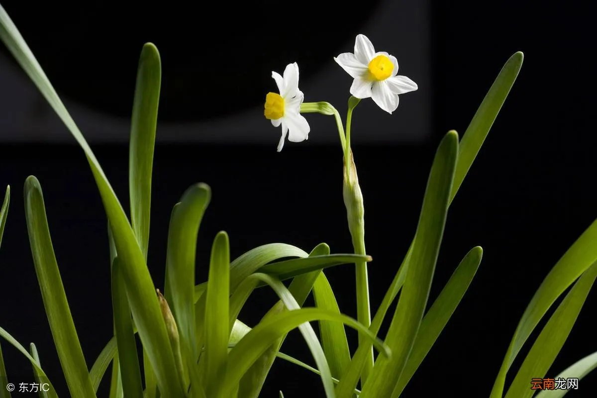 歌曲《迟来的爱》原唱 最后一个人默默承受着是什么歌曲