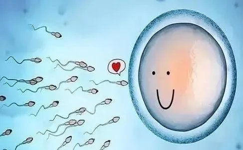 供卵试管医院哪家好借卵供卵试管生女儿-武汉康健妇婴医院2023年试管婴儿成功率评估（附真实成功案例）