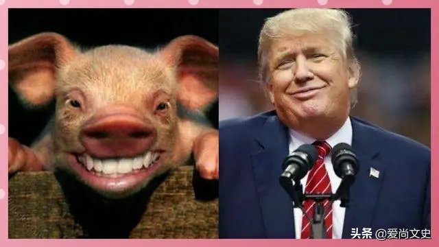 白宫要求美国民众“忍受”病毒，美国民众还能忍多久？