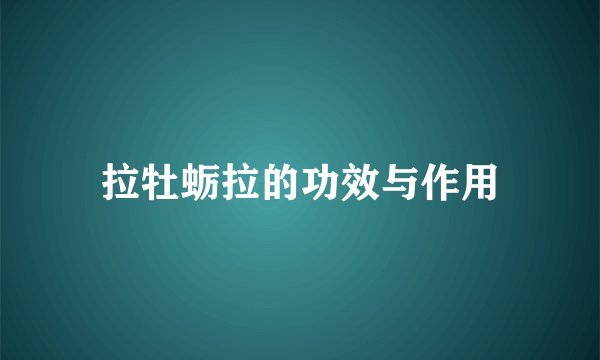 拉牡蛎拉的功效与作用