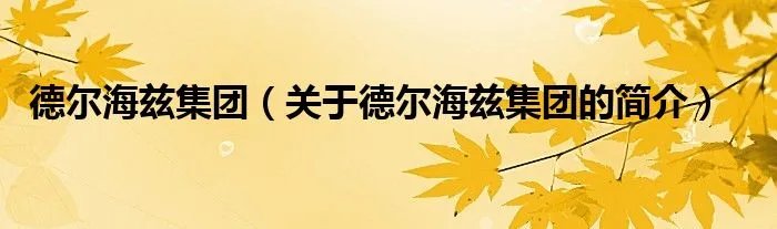 德尔海兹集团（关于德尔海兹集团的简介）