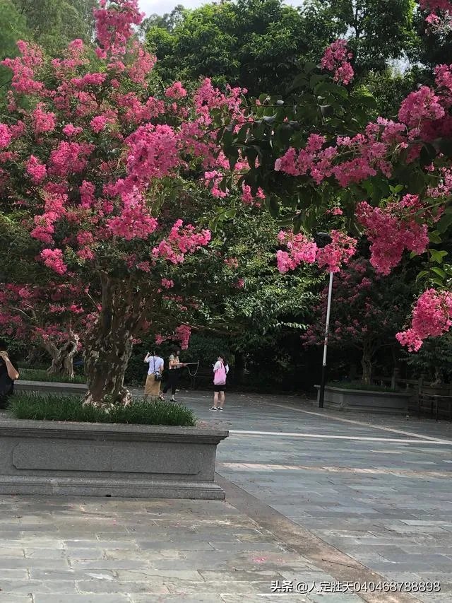 鹤岗3万元买房2万2卖掉，是怎么一回事？