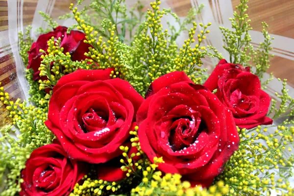 杨丽萍徒弟水月与爱人出游，你觉得爱情对你来说意味着什么?