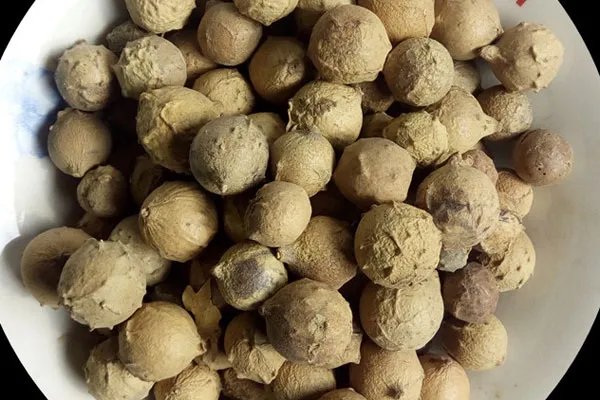 没食子的功效与作用