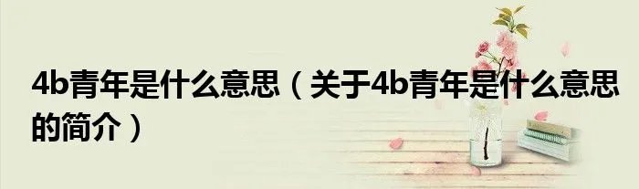 4b青年是什么意思（关于4b青年是什么意思的简介）