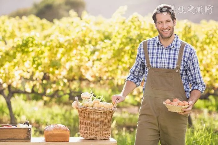 春饼八种配菜 适合卷春饼的菜