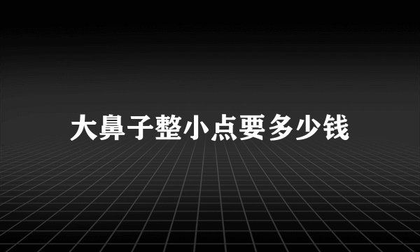 大鼻子整小点要多少钱