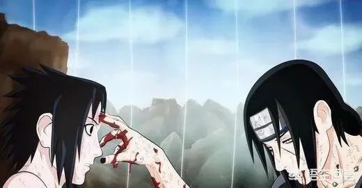 鼬的实力是什么水平