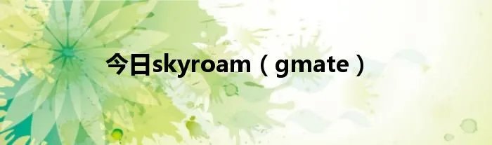 今日skyroam（gmate）