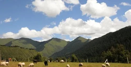 怎样提高幽默感