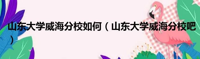 山东大学威海分校如何（山东大学威海分校吧）