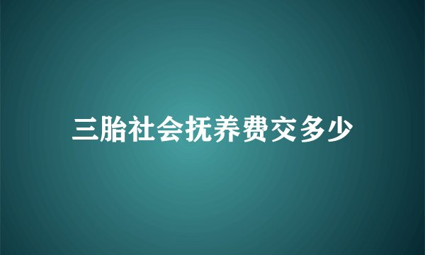 三胎社会抚养费交多少