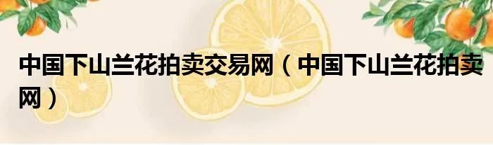 中国下山兰花拍卖交易网（中国下山兰花拍卖网）